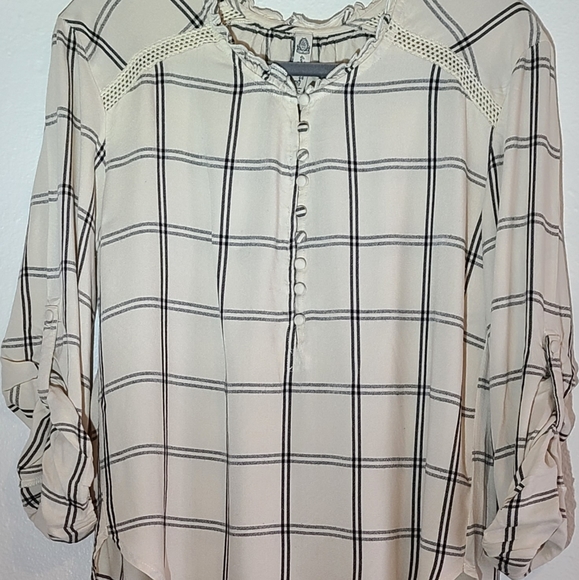 American Rag Cia Small Buttons on the Front - Picture 2 of 7